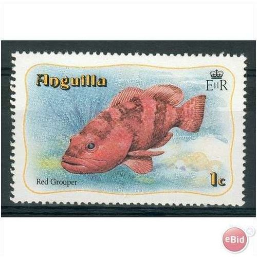 Anguilla stamps 1982 - SG 485 Grouper 1c