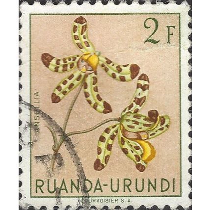 RUANDA URUNDI, FLOWER, Ansellia, light brown 1953, 2F