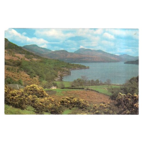 LOCH LOMOND AT FIRKIN unused vintage postcard =