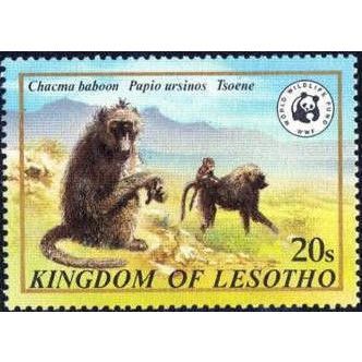 Lesotho QEII 1982 Wildlife WWF 20s Chacma Baboon Mounted Mint MM SG 469 stamp