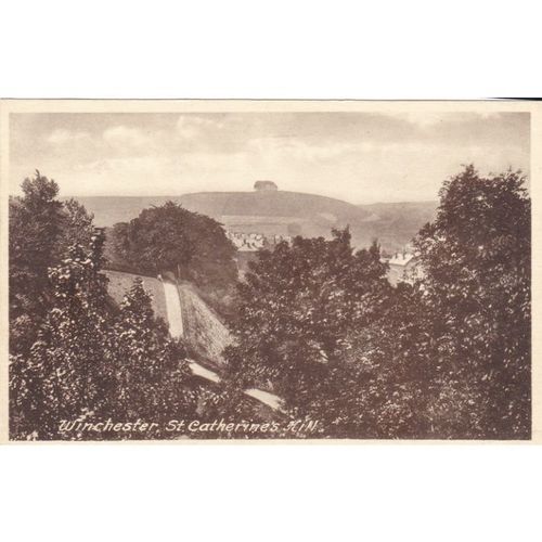 Winchester St Catherines Hill Hampshire Postcard (HAM71717)