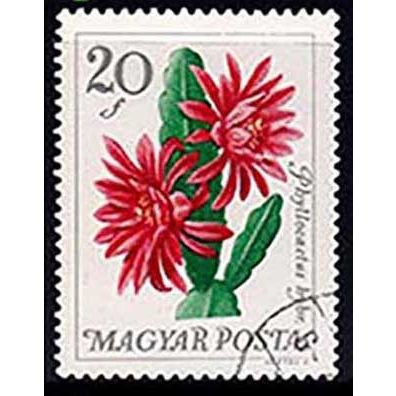 Hungary 1965 Flowers 20f Used Stamp