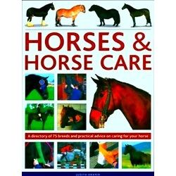 Horses Horse Care