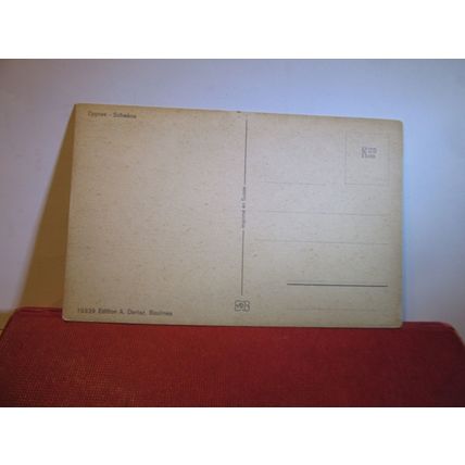 A FAMILY OF SWANS unused Swiss postcard birds animals =