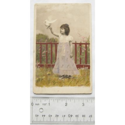 pre 1918 postcard Girl Holding a Dove