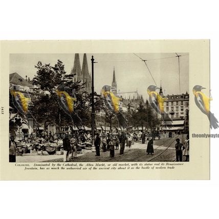 Cologne, Alten Markt, Germany, Book Illustration c1920