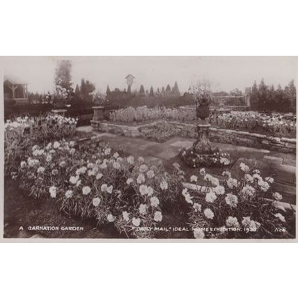 A Carnation Garden Daily Mail 1928 Ideal Home Exhibition Real Photo Old Postcard
