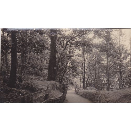 Path to The Ross Road Entrance Grangewood Park London Postcard (LN76468)