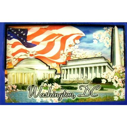 Washington D.C. Cherry Blossom Fridge Magnet