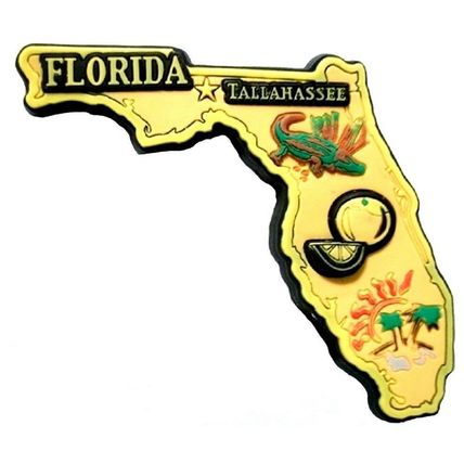 Florida Tallahassee Multi Color Fridge Magnet
