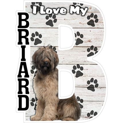 I Love My Briad Fridge Magnet