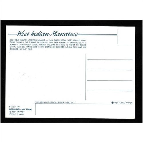 WEST INDIAN MANATEES - No 12111 - IMPACT - UNUSED