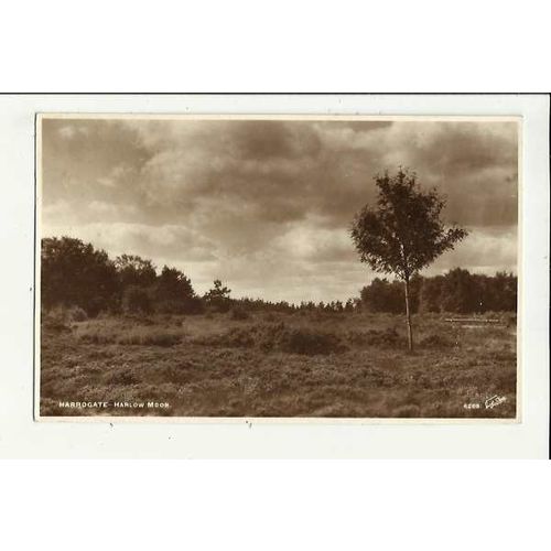 Yorkshire HARROGATE Harlow Moor Postcard by Scott (6288)