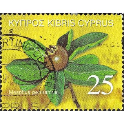 CYPRUS, FRUIT, Common medlar, Mespilus germanica, yellow 2006, 25c