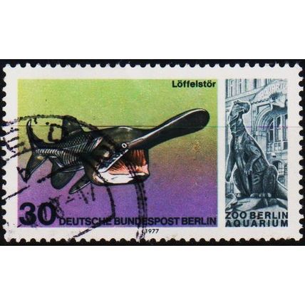 Germany(Berlin). 1977 30pf S.G.B537 Used