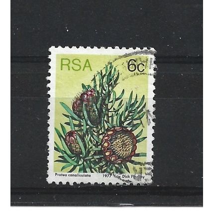 SouthAfrica.SG419 6c Protea Canaliculata.Fine Used.Sep25b