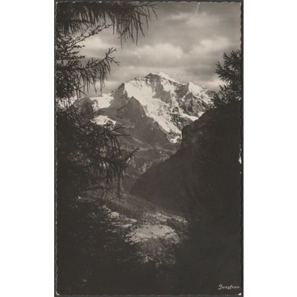 Jungfrau, Bern, 1951 - Schild Foto-AK
