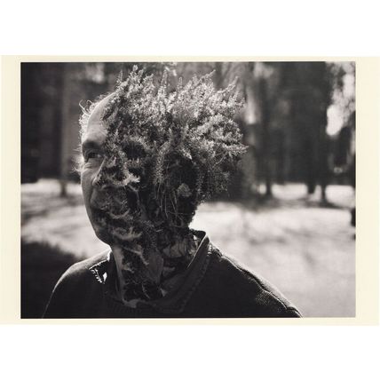 Man Beard As Trees Plants Graphic French Photo Art 8x6 Postcard