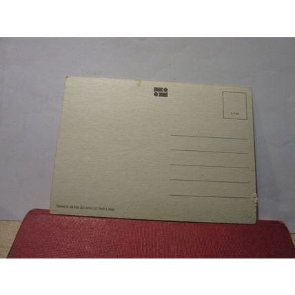 H.R.H PRINCE OF WALES & LADY DIANA SPENCER unused postcard by John Hinde =