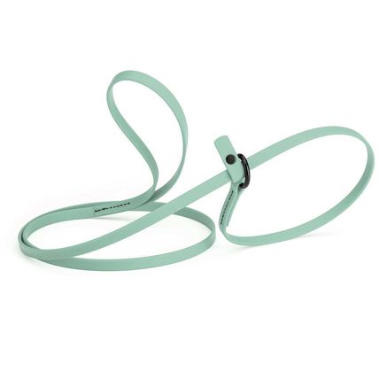 Dog Pet Waterproof Slip Lead - W3/8" x L5' - Sage Green