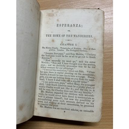 RARE* 1865 ANNE BOWMAN "ESPERANZA" FICTION SMALL LEATHER ANTIQUE BOOK (P3)
