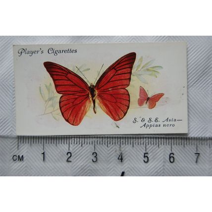 1932 John Player & Sons Butterflies No. 44 S & SE Asia, Appias nero