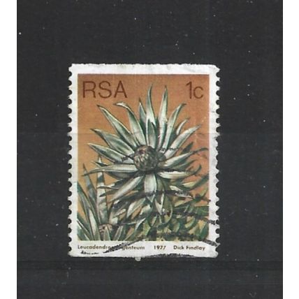 SouthAfrica.SG431 1c Leucadendron Argenteum.Fine Used.Sep25d