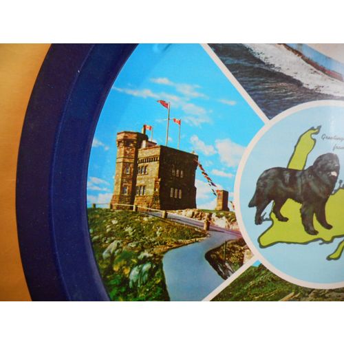 Newfoundland Vintage Souvenir Tray,the William Carson,Dog,Petty Harbour