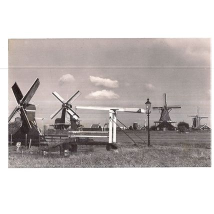 WINDMILLS, ZAANSE SCHANS, HOLLAND unused vintage postcard RP