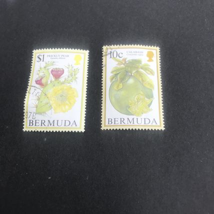 Bermuda - Fruits Pair