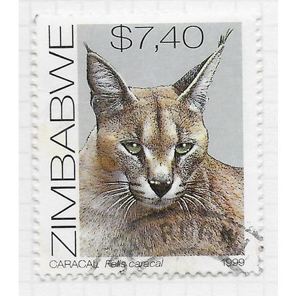 ZIMBABWE 1999 AFRICAN CATS FAUNA ENVIRONMENT CARACAL $7.40 USED