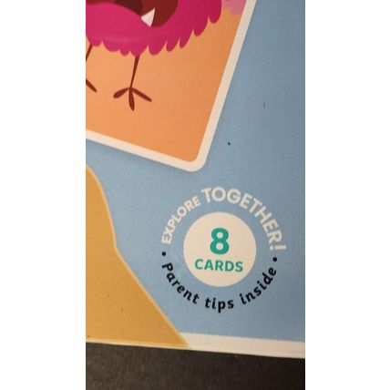 Junior Explorers®: Feelings Slide & Learn Flash Cards