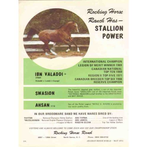 rocking horse ranch 1972 ibn valaddi swasion ahsan arabians vintage ad