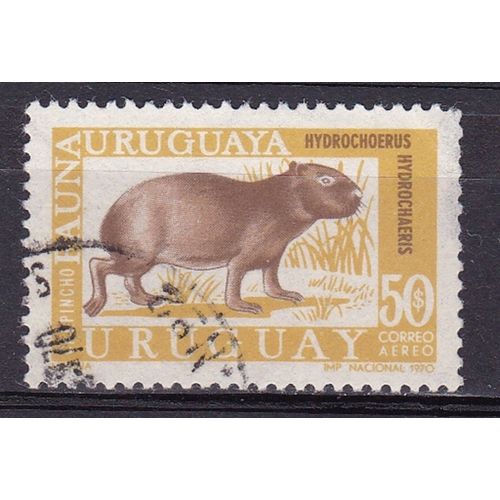 URUGUAY 1970 AIR FAUNA 50p CAYBARA USED