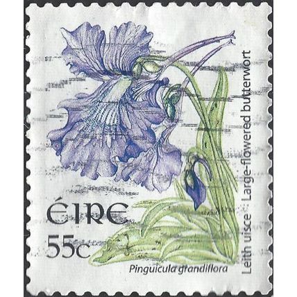 EIRE, FLOWER, Butterwort, Pinguicula grandiflora, white 2007, 60c, #2