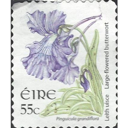 EIRE, FLOWER, Butterwort, Pinguicula grandiflora adhesive, white 2007, 55c