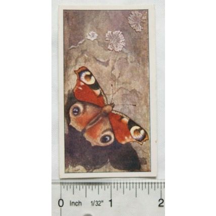 Vintage: Dutch card Jac. P. Thijsse, Lente No. 141 Dagpauwoog