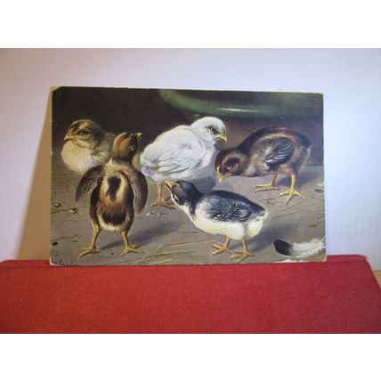 CHICKS used antique postcard by Ernest Nister 1907? pm =
