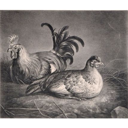 HEN AND COCKEREL ON STRAW 1823 Kaspar Auer - Aelbert Cuyp ANTIQUE LITHOGRAPH
