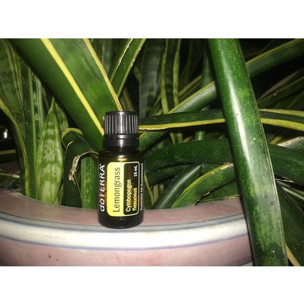 doTERRA Lemongrass 15 mL Essential Oil NEW & SEALED Exp 08/2028