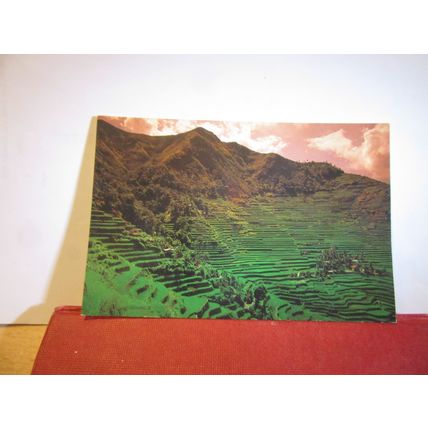 RICE FIELDS, near BANAUE, MOUNTAIN PROVINCE, PHILIPPINES unused postcard =