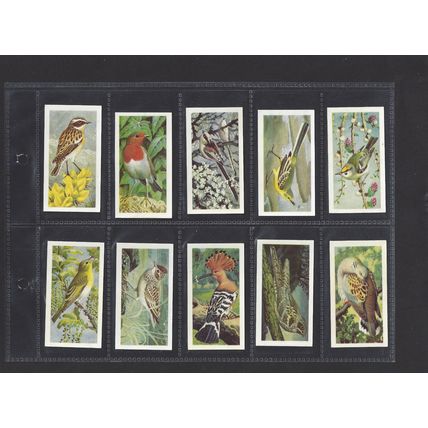 Brooke Bond Original Vintage Full Set of 50 Tea Cards Wild Birds in Britain 1965