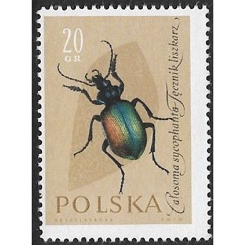 1961 Michel 1277 - MNH (**) - ANIMAL