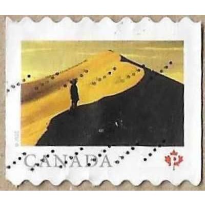 2020 - Athabasca Sand Dunes Provincial Park, Saskatchewan - 16234