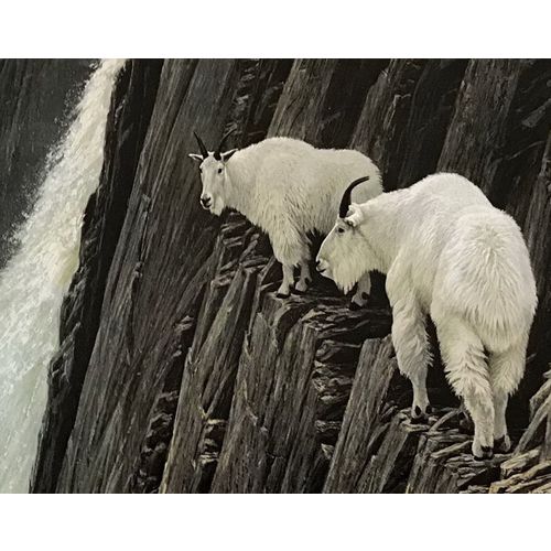 Robert Bateman print MOUNTAIN GOATS vintage animal Poster Wall Art Decor print
