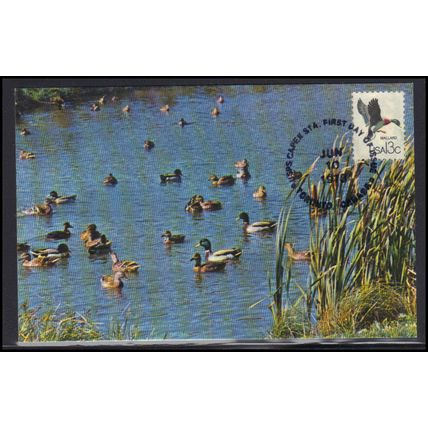 FDC Postcard 1757b 13c Mallard (No Cachet-U/A) Box0006
