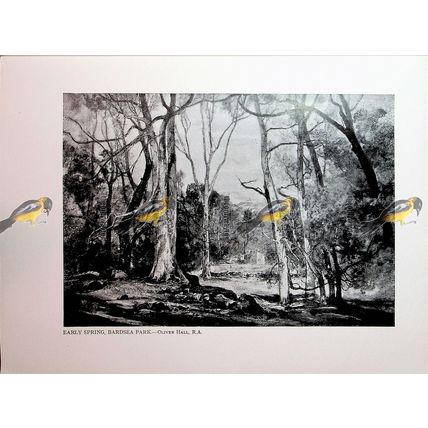 Early Spring, Bardsea Park Cumbria, Oliver Hall, Book Illustration (Print), 1936