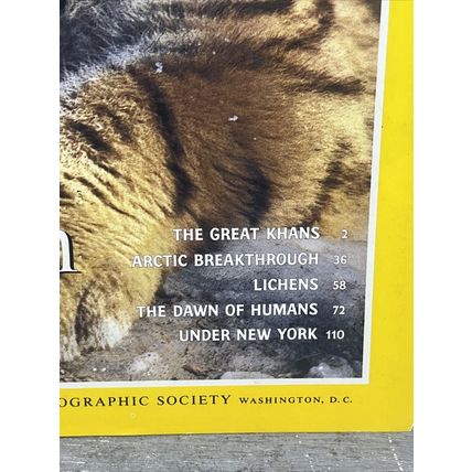 National Geographic Magazine February 1997- Siberian Tigers Collectable w