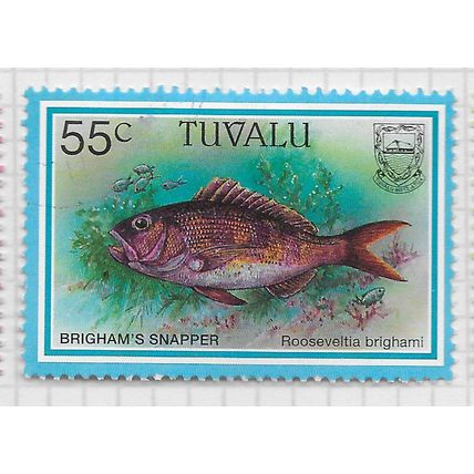 TUVALU 1997 FISH SERIES 55c BRIGHAMS SNAPPER USED MARINE SEA LIFE FAUNA
