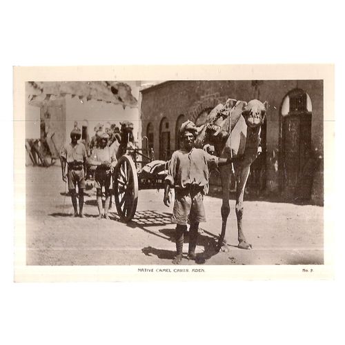 NATIVE CAMEL CARTS, ADEN, YEMEN unused vintage postcard #